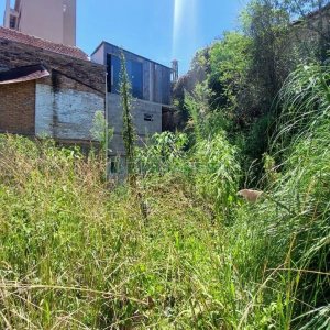 Terreno com 150m², no bairro São Pelegrino em Caxias do Sul para Alugar