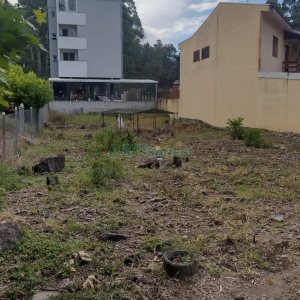 Terreno, no bairro Desvio Rizzo em Caxias do Sul para Comprar