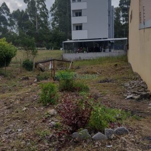 Terreno, no bairro Desvio Rizzo em Caxias do Sul para Comprar