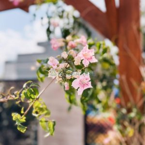 Apartamento com 110m², 3 dormitórios, 2 vagas, no bairro Petrópolis em Caxias do Sul para Comprar