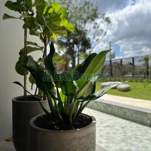 Apartamento com 110m², 3 dormitórios, 2 vagas, no bairro Petrópolis em Caxias do Sul para Comprar