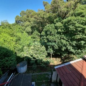 Casa com 650m², 3 dormitórios, 2 vagas, no bairro Santa Catarina em Caxias do Sul para Comprar