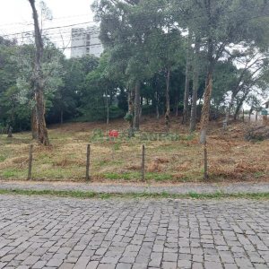 Terreno, no bairro Petrópolis em Caxias do Sul para Comprar