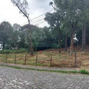Terreno, no bairro Petrópolis em Caxias do Sul para Comprar
