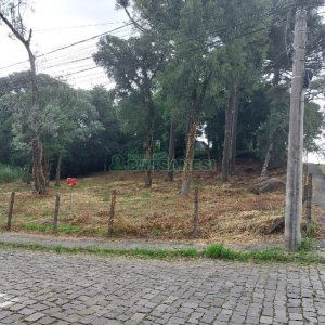 Terreno, no bairro Petrópolis em Caxias do Sul para Comprar