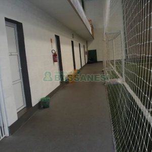 Pavilhão com 1900m², no bairro Santa Catarina em Caxias do Sul para Alugar ou Comprar