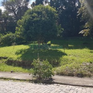 Terreno, no bairro Panazzolo em Caxias do Sul para Comprar