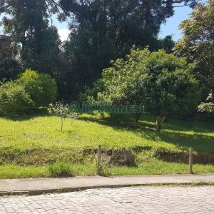 Terreno, no bairro Panazzolo em Caxias do Sul para Comprar