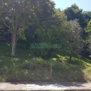 Terreno, no bairro Panazzolo em Caxias do Sul para Comprar