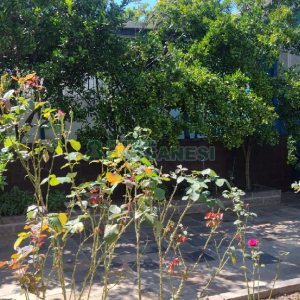 Casa com 170m², 6 dormitórios, 2 vagas, no bairro Bela Vista em Caxias do Sul para Comprar