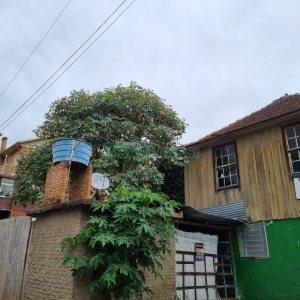 Terreno, no bairro Panazzolo em Caxias do Sul para Comprar