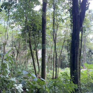 Terreno, no bairro Galópolis em Caxias do Sul para Comprar