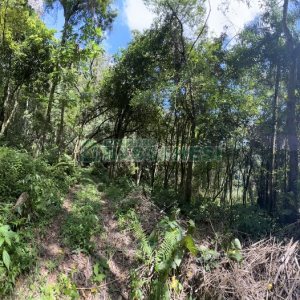 Terreno, no bairro Galópolis em Caxias do Sul para Comprar