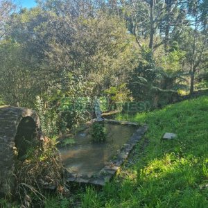 Chácara com 150m², 2 dormitórios, 1 vaga, no bairro Vila Seca em Caxias do Sul para Comprar