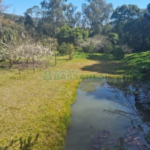 Chácara com 150m², 2 dormitórios, 1 vaga, no bairro Vila Seca em Caxias do Sul para Comprar