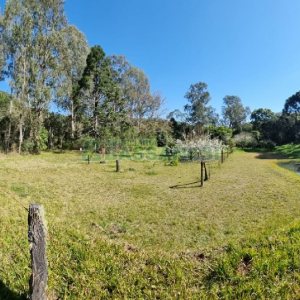 Chácara com 150m², 2 dormitórios, 1 vaga, no bairro Vila Seca em Caxias do Sul para Comprar
