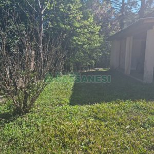 Chácara com 150m², 2 dormitórios, 1 vaga, no bairro Vila Seca em Caxias do Sul para Comprar