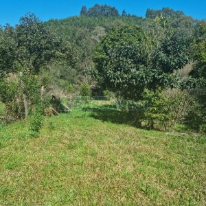 Chácara com 150m², 2 dormitórios, 1 vaga, no bairro Vila Seca em Caxias do Sul para Comprar