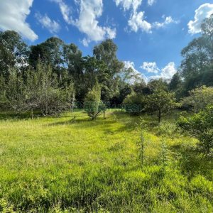 Chácara com 150m², 2 dormitórios, 1 vaga, no bairro Vila Seca em Caxias do Sul para Comprar