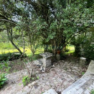 Chácara com 150m², 2 dormitórios, 1 vaga, no bairro Vila Seca em Caxias do Sul para Comprar