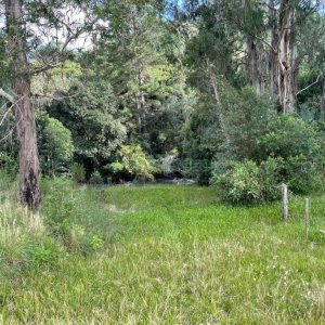Chácara com 150m², 2 dormitórios, 1 vaga, no bairro Vila Seca em Caxias do Sul para Comprar
