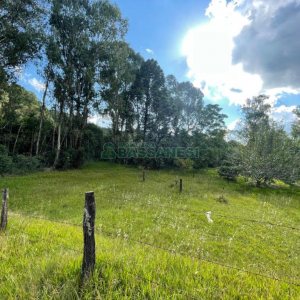 Chácara com 150m², 2 dormitórios, 1 vaga, no bairro Vila Seca em Caxias do Sul para Comprar