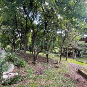 Chácara com 150m², 2 dormitórios, 1 vaga, no bairro Vila Seca em Caxias do Sul para Comprar