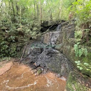 Chácara com 150m², 2 dormitórios, 1 vaga, no bairro Vila Seca em Caxias do Sul para Comprar