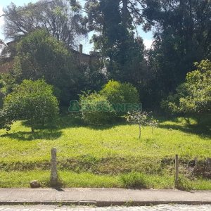 Terreno, no bairro Panazzolo em Caxias do Sul para Comprar