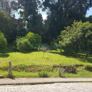 Terreno, no bairro Panazzolo em Caxias do Sul para Comprar