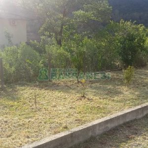 Terreno com 42m², 2 dormitórios, no bairro Vila Cristina em Caxias do Sul para Comprar