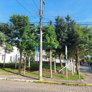 Terreno com 450m², no bairro Panazzolo em Caxias do Sul para Alugar