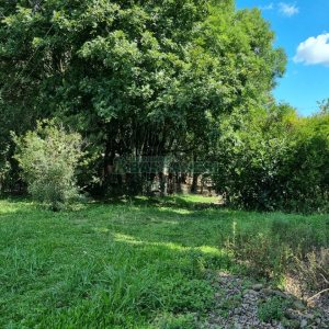 Chácara, no bairro Fazenda Souza em Caxias do Sul para Comprar