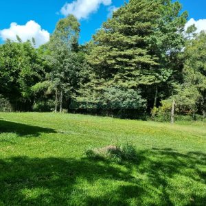 Chácara, no bairro Fazenda Souza em Caxias do Sul para Comprar