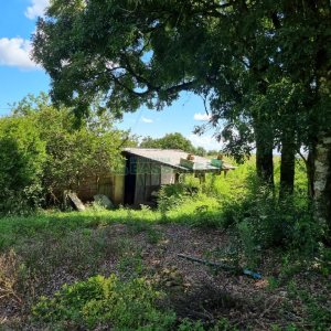 Chácara, no bairro Fazenda Souza em Caxias do Sul para Comprar