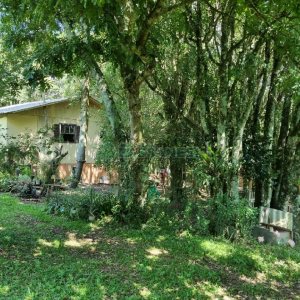 Chácara, no bairro Fazenda Souza em Caxias do Sul para Comprar