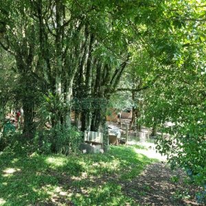 Chácara, no bairro Fazenda Souza em Caxias do Sul para Comprar