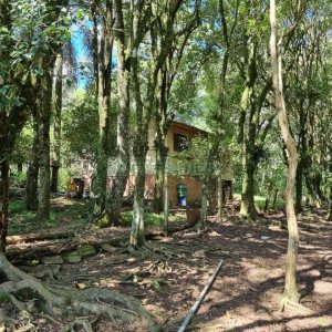 Chácara, no bairro Fazenda Souza em Caxias do Sul para Comprar