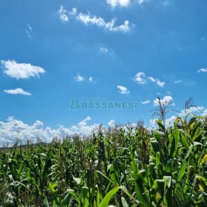 Chácara, no bairro Fazenda Souza em Caxias do Sul para Comprar