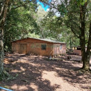 Chácara, no bairro Fazenda Souza em Caxias do Sul para Comprar