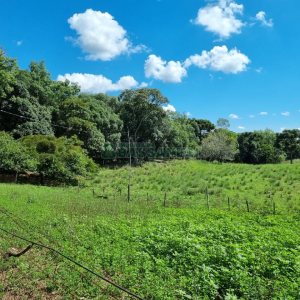 Chácara, no bairro Fazenda Souza em Caxias do Sul para Comprar
