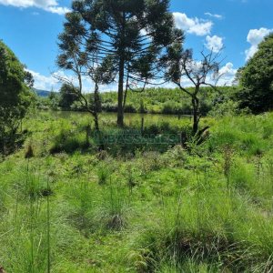 Chácara, no bairro Fazenda Souza em Caxias do Sul para Comprar