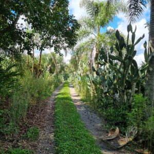 Chácara, no bairro Fazenda Souza em Caxias do Sul para Comprar
