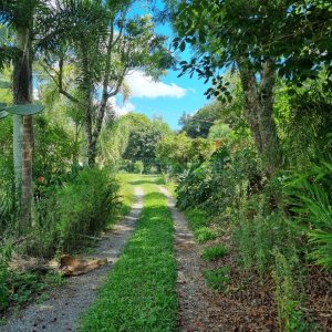 Chácara, no bairro Fazenda Souza em Caxias do Sul para Comprar