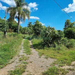 Chácara, no bairro Fazenda Souza em Caxias do Sul para Comprar