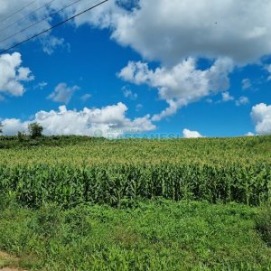 Chácara, no bairro Fazenda Souza em Caxias do Sul para Comprar