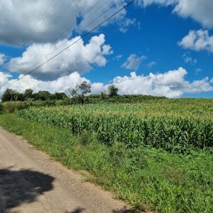 Chácara, no bairro Fazenda Souza em Caxias do Sul para Comprar