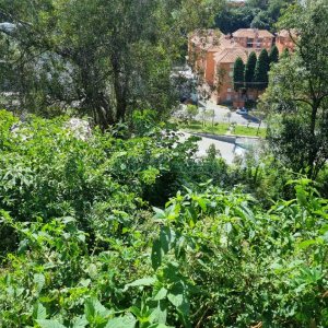 Terreno, no bairro Madureira em Caxias do Sul para Comprar