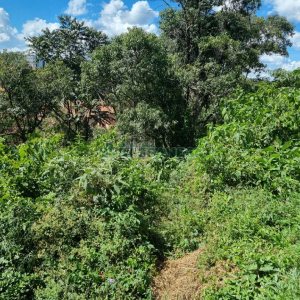 Terreno, no bairro Madureira em Caxias do Sul para Comprar