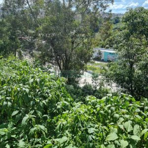 Terreno, no bairro Madureira em Caxias do Sul para Comprar